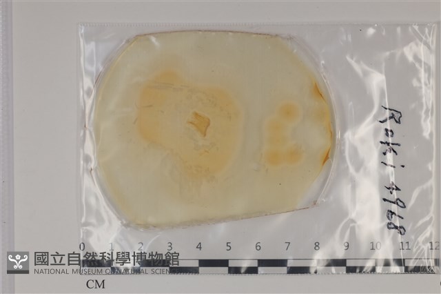登錄號:F0035302藏品圖，第1張