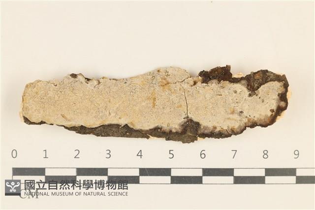 登錄號:F0030912藏品圖，第1張
