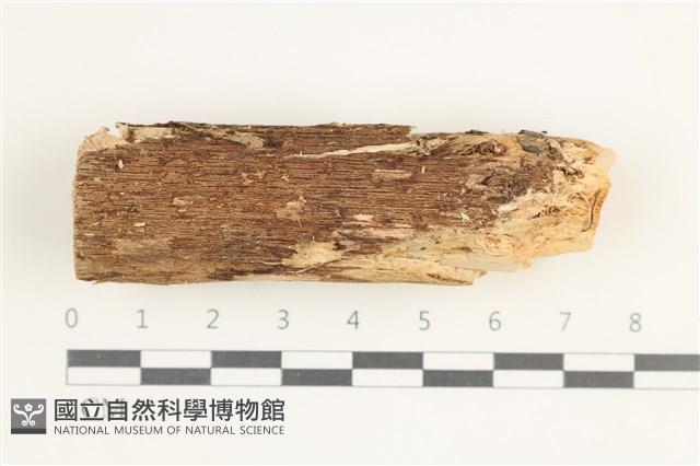 登錄號:F0038452藏品圖，第1張