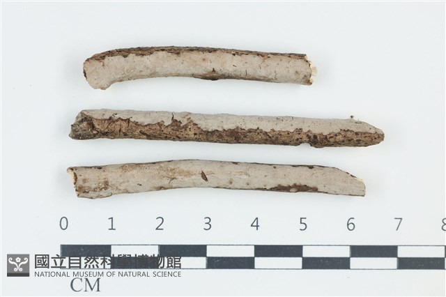 登錄號:F0039242藏品圖，第1張