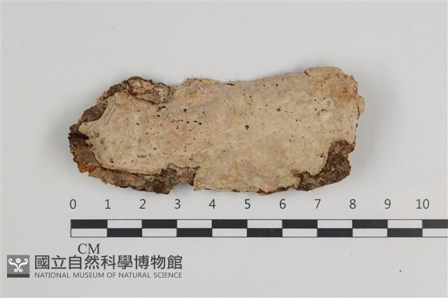 登錄號:F0035942藏品圖，第1張