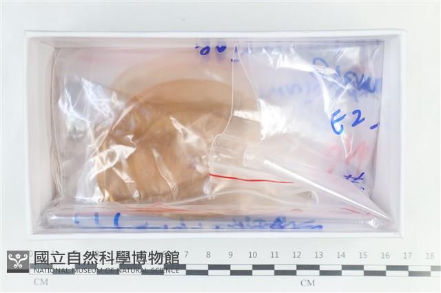 登錄號:F0038642藏品圖，第1張