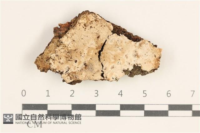 登錄號:F0038442藏品圖，第1張