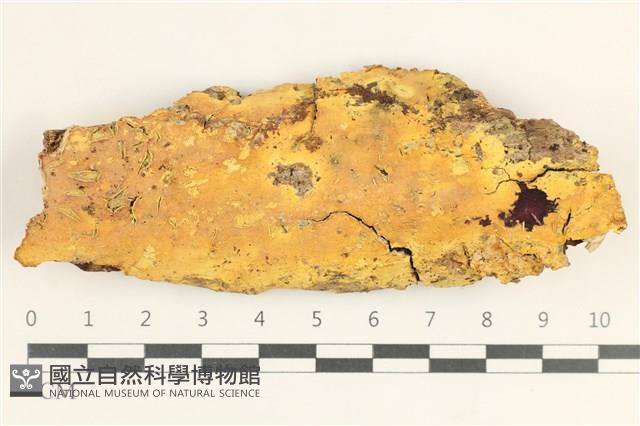 館號:F0038342藏品圖，第1張