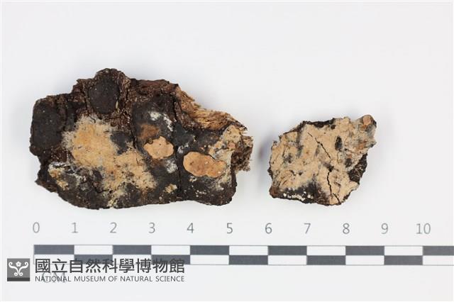 登錄號:F0035342藏品圖，第1張