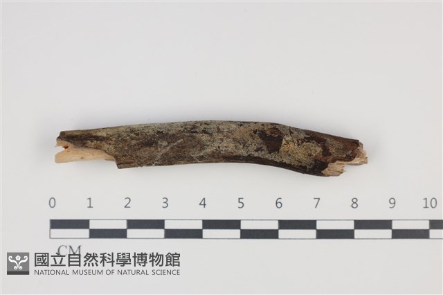 登錄號:F0035292藏品圖，第1張