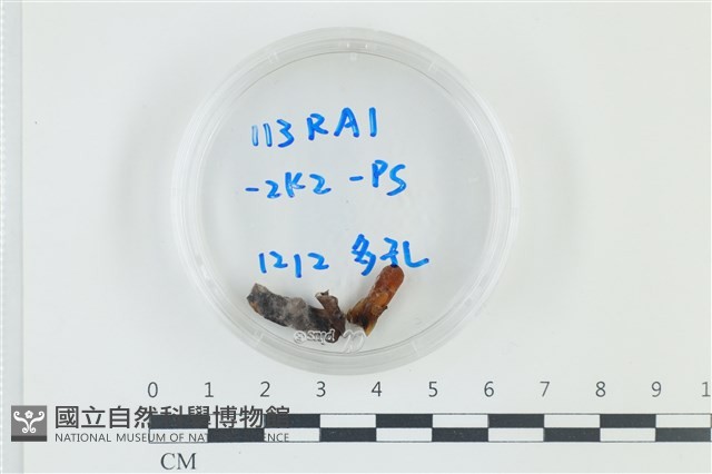 登錄號:F0038892藏品圖，第1張