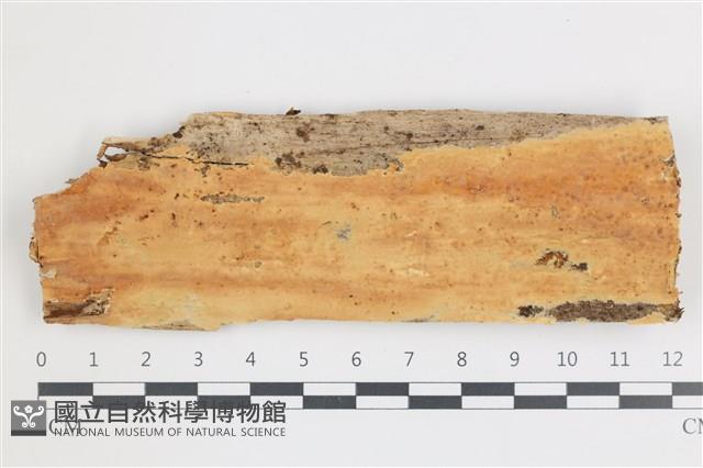 登錄號:F0035992藏品圖，第1張