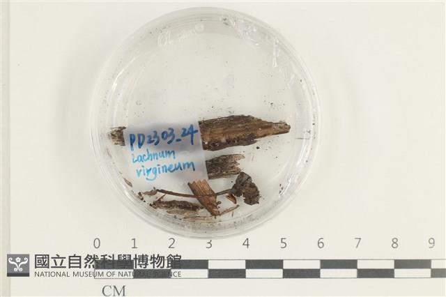 登錄號:F0038592藏品圖，第1張