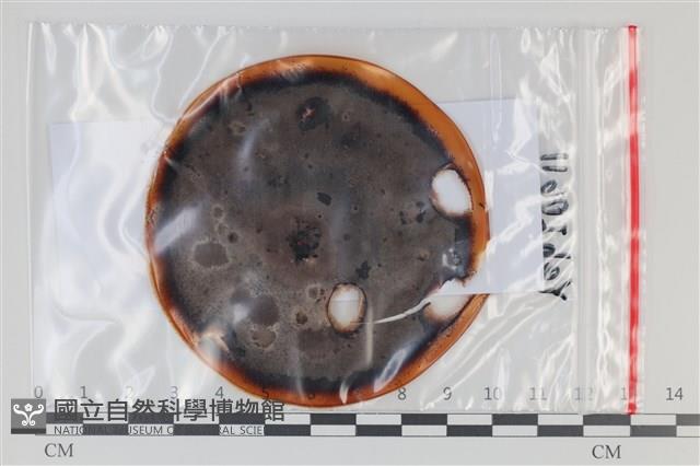 登錄號:F0035092藏品圖，第1張