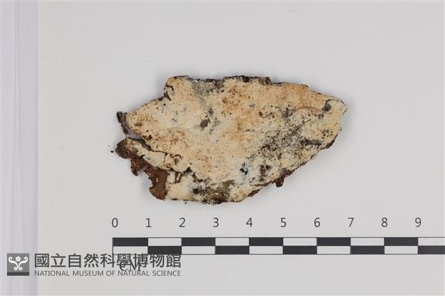 登錄號:F0035682藏品圖，第1張