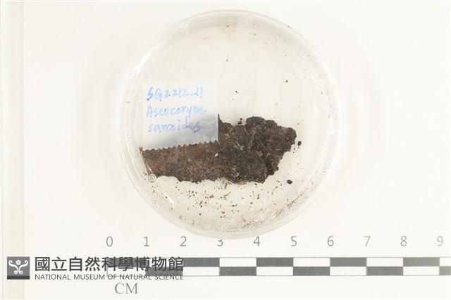 登錄號:F0038582藏品圖，第1張