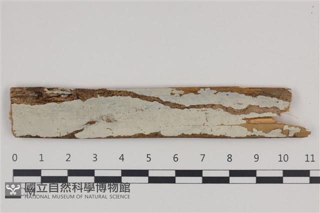 登錄號:F0035382藏品圖，第1張