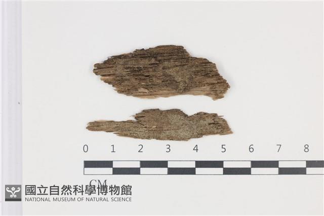 登錄號:F0035232藏品圖，第1張