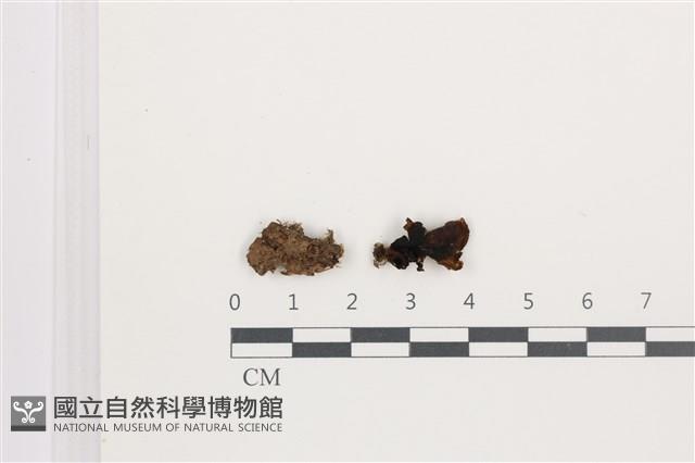 登錄號:F0035832藏品圖，第1張