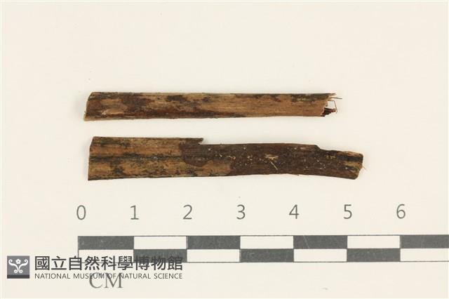 登錄號:F0038132藏品圖，第1張