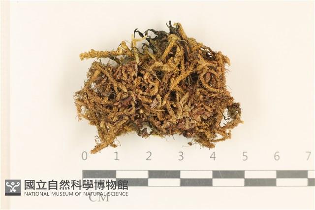登錄號:F0037132藏品圖，第1張