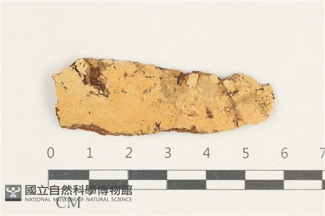 登錄號:F0038272藏品圖，第1張