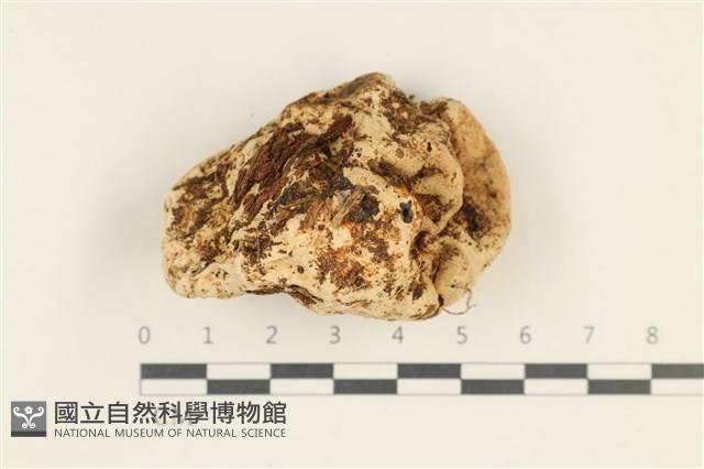 登錄號:F0038072藏品圖，第1張