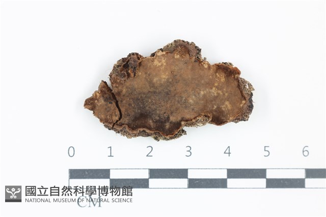 登錄號:F0039267藏品圖，第1張