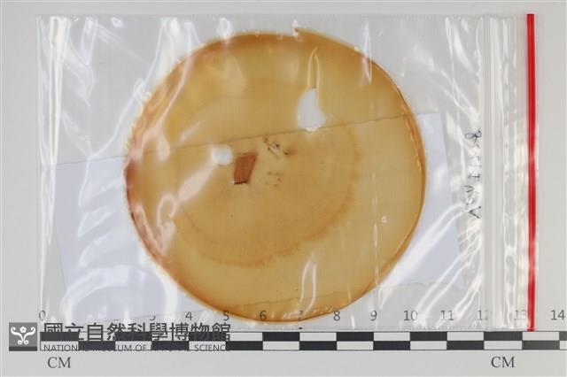 登錄號:F0035227藏品圖，第1張