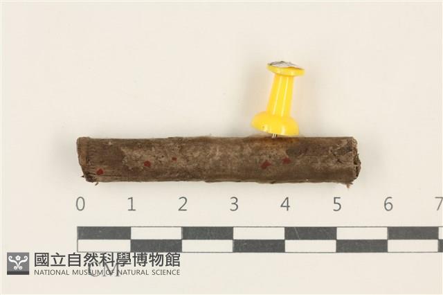 登錄號:F0037927藏品圖，第1張