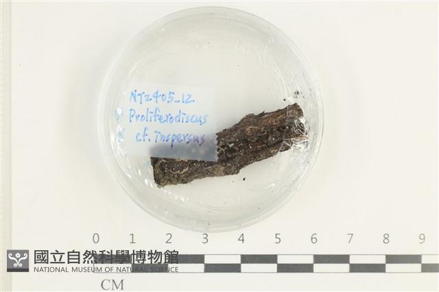 登錄號:F0038627藏品圖，第1張