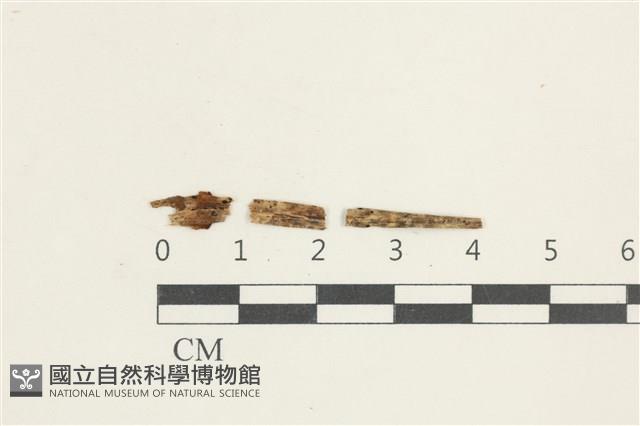 登錄號:F0038427藏品圖，第1張