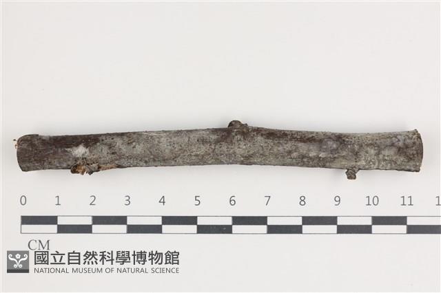 登錄號:F0035427藏品圖，第1張
