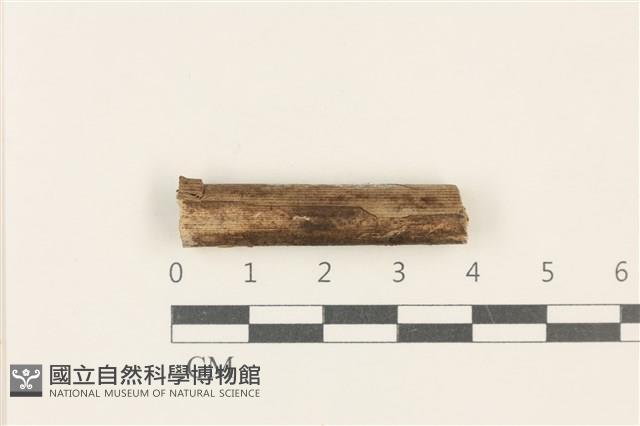 登錄號:F0037727藏品圖，第1張