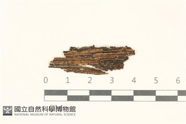 登錄號:F0038127藏品圖，第1張