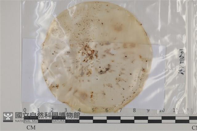 登錄號:F0035207藏品圖，第1張
