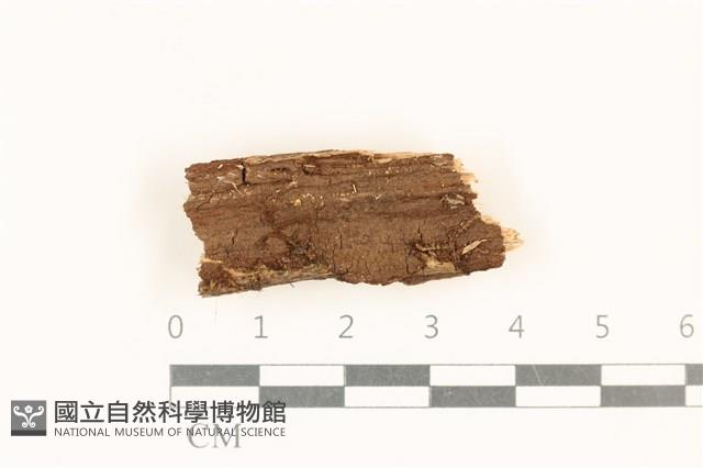 登錄號:F0017807藏品圖，第1張