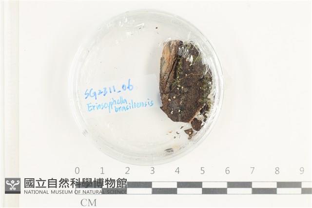 登錄號:F0038607藏品圖，第1張