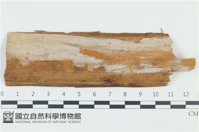 登錄號:F0039107藏品圖，第1張