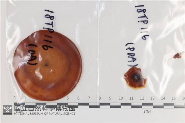 登錄號:F0036307藏品圖，第1張