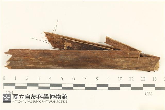 登錄號:F0038117藏品圖，第1張