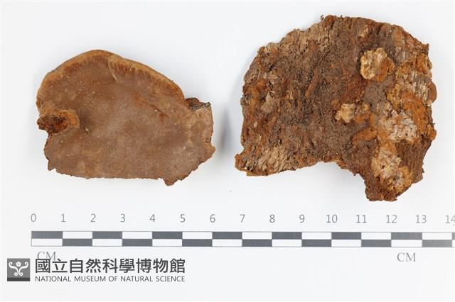 登錄號:F0035757藏品圖，第1張