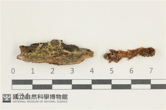 登錄號:F0038157藏品圖，第1張