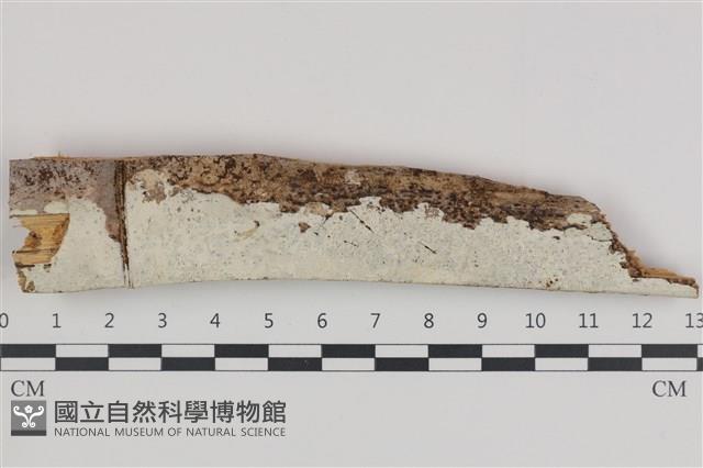 登錄號:F0035947藏品圖，第1張