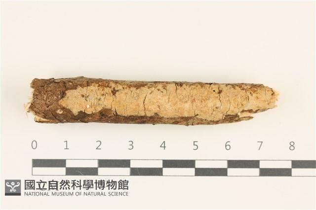 登錄號:F0036747藏品圖，第1張
