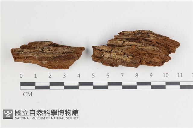登錄號:F0035747藏品圖，第1張