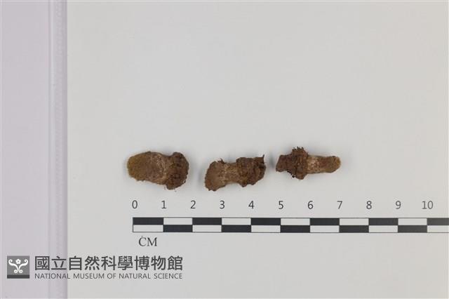 登錄號:F0035347藏品圖，第1張