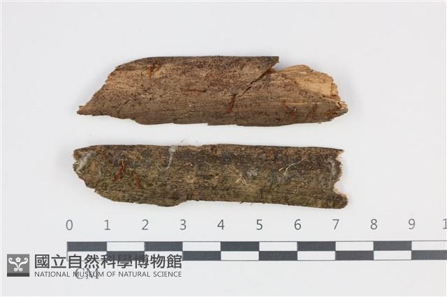 登錄號:F0035297藏品圖，第1張