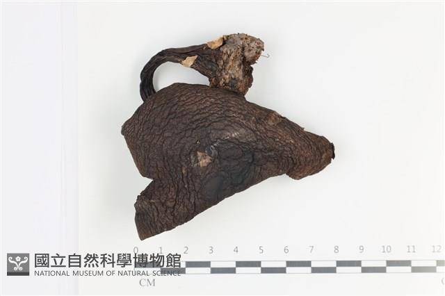 登錄號:F0035787藏品圖，第1張