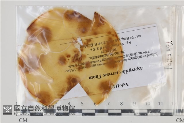 登錄號:F0035187藏品圖，第1張