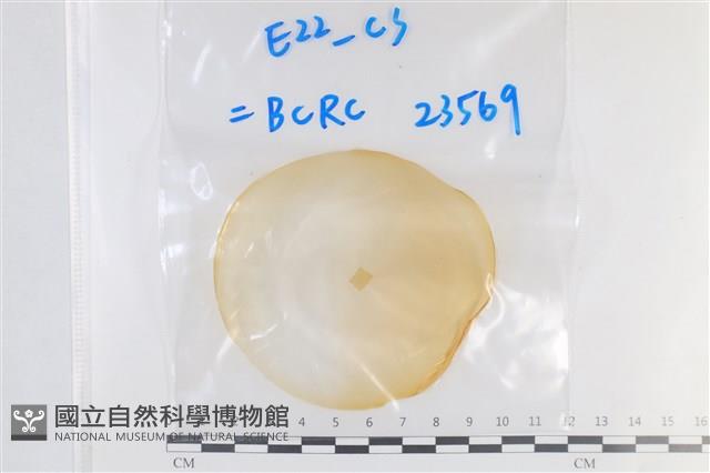 登錄號:F0038637藏品圖，第1張
