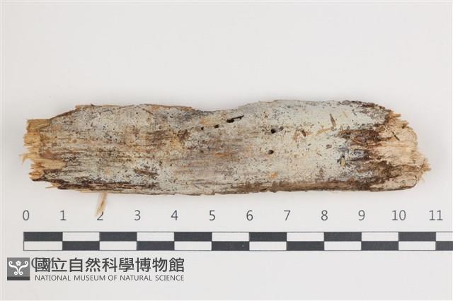 登錄號:F0035637藏品圖，第1張
