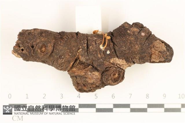 登錄號:F0038437藏品圖，第1張