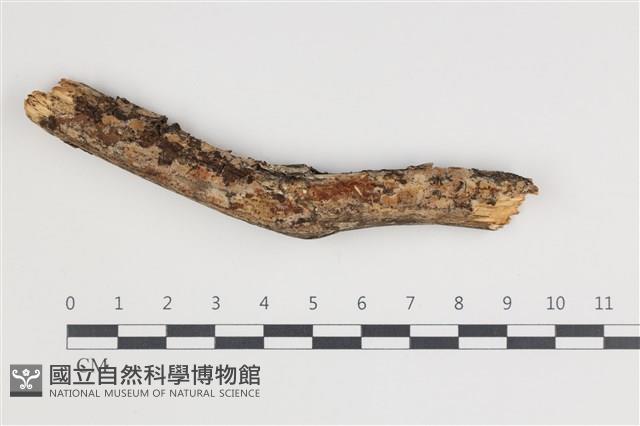 登錄號:F0035437藏品圖，第1張